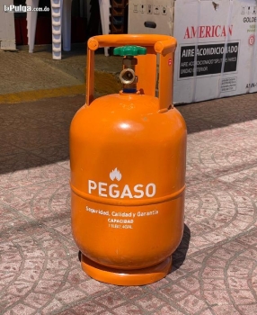 CILINDRO PEGASO DE 25 LB MAMEY